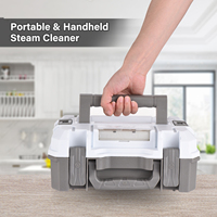 2500W Portable Steam Cleaner High Temperature Sterilization Air Conditioning Handheld Kitchen Hood Car Home  220V EU Pl