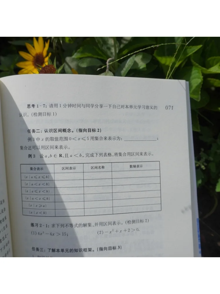 Book-Winshare ثورة خطط الدرس 2 0 تصميم الخطة الأكاديمية للمدرسة الثانوية العامة الكبيرة #4