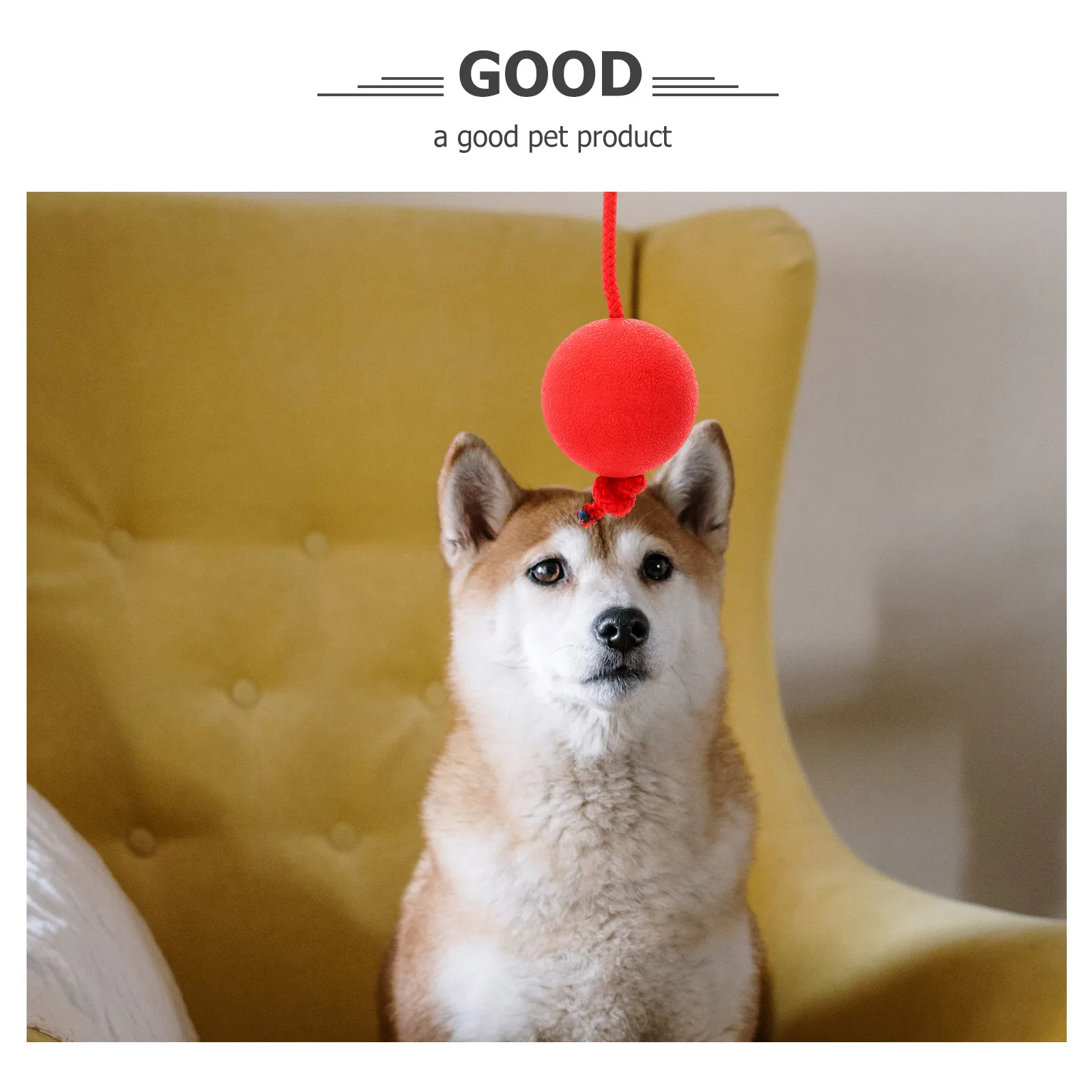 

Rope Rubber Ball Bite-Resistant Elastic Pet For Dog Puppy Molar Training Outdoor Durable Solid Dog Chew Red