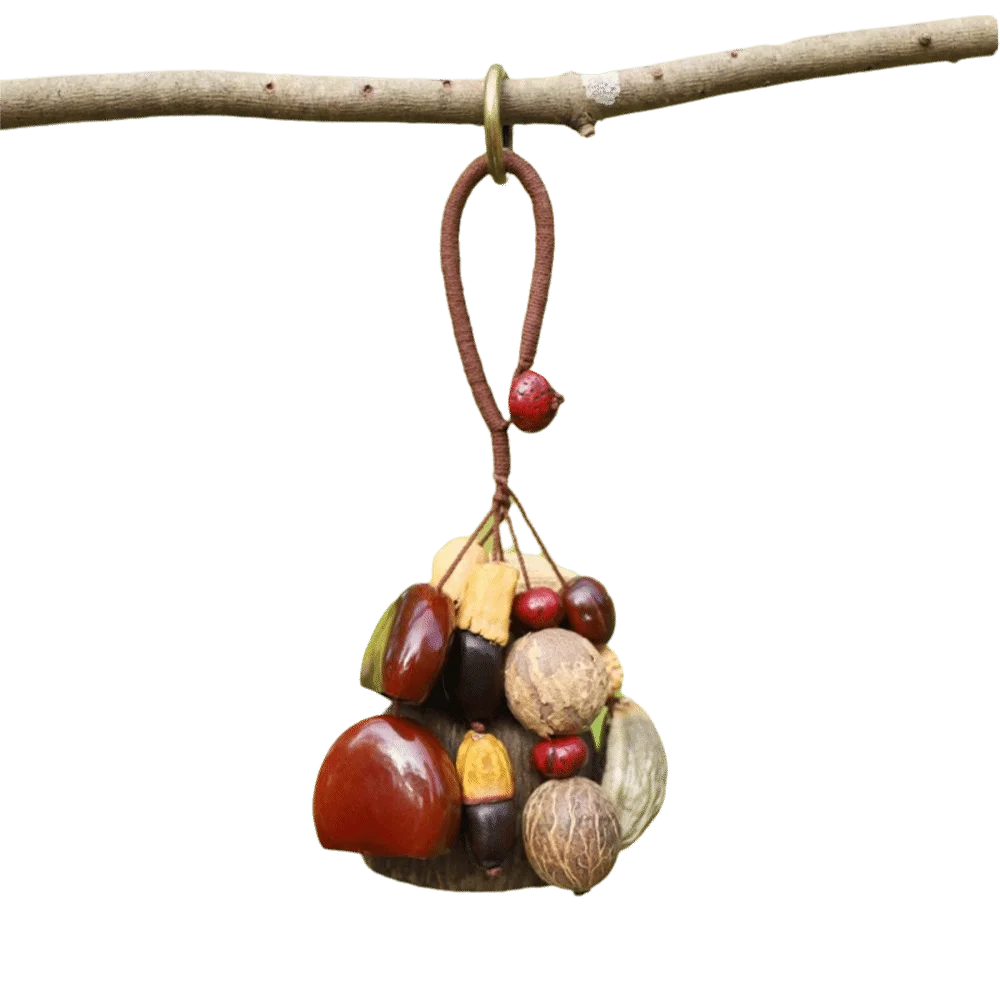 Handmade Natural Fruit Shell Bag Keychain Personality Multifunctional Usage Nut Shell Wind Chime Bag Accessories
