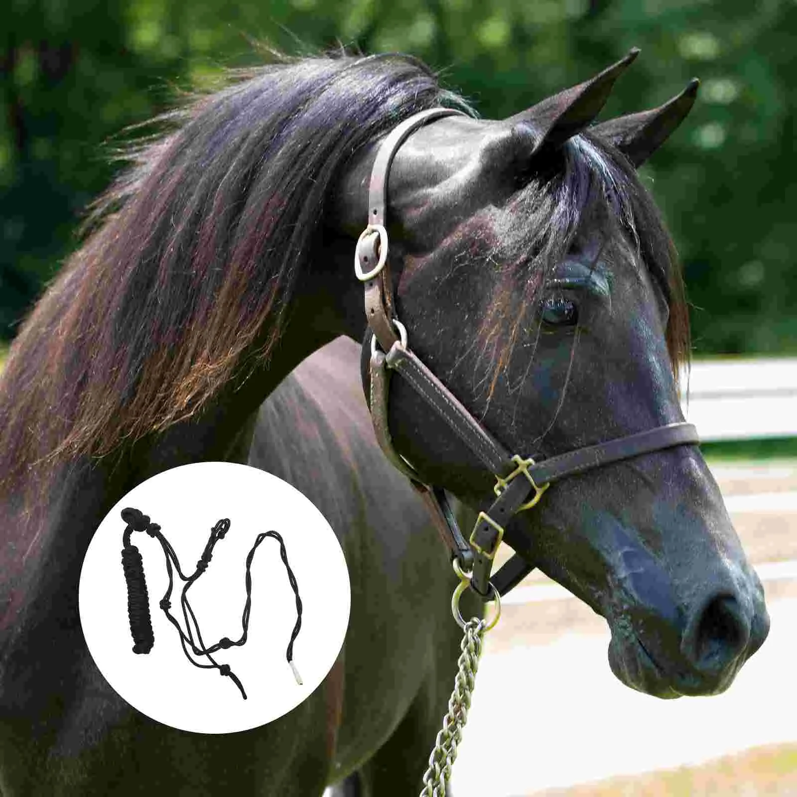 Horse Halter Braid Halter Portable Horse Halter Knot Stiff Cloth Art Training Halter Horse Supply Random Color