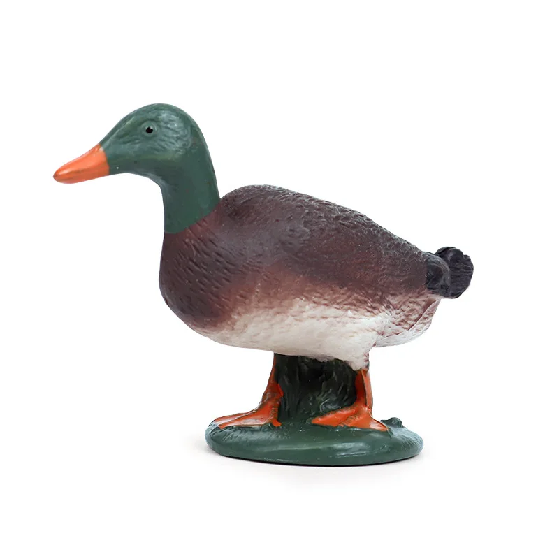 Children Cognitive Solid Simulation Static Wild Animal Duck Model Toy Poultry Duck Wild Duck Decoration