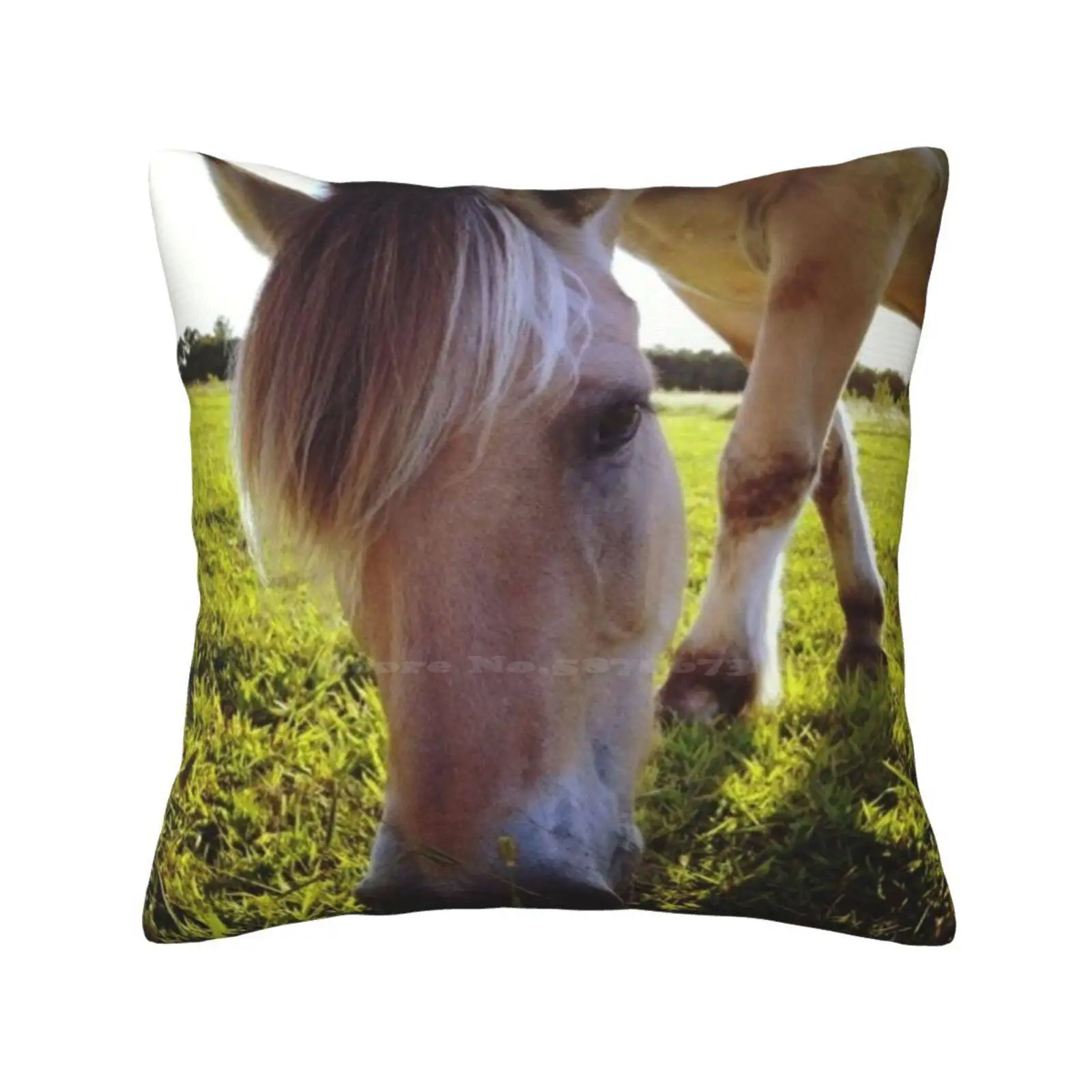 Horse Grazing Bedroom Office Hug Pillowcase Fjord Horse Grazing Horses Horse Lover Cute Animal Cute Horse Nature Real Horse