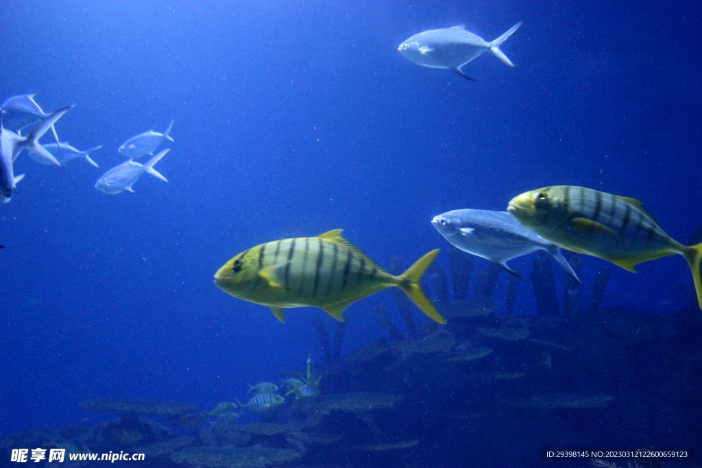 

Аксессуар для радиоуправляемых машинок: шестигранный соединитель 12 мм для MJX 16207, 16208, 16209, 16210, H16