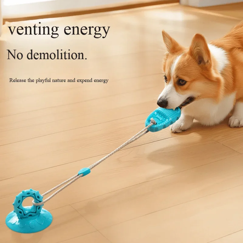 Balle à ventouse pour animaux de compagnie, jouet interactif pour chiens, idéal pour ronger les dents, jouet pour se divertir seul et soulager l’ennui, favorisant la force physique.