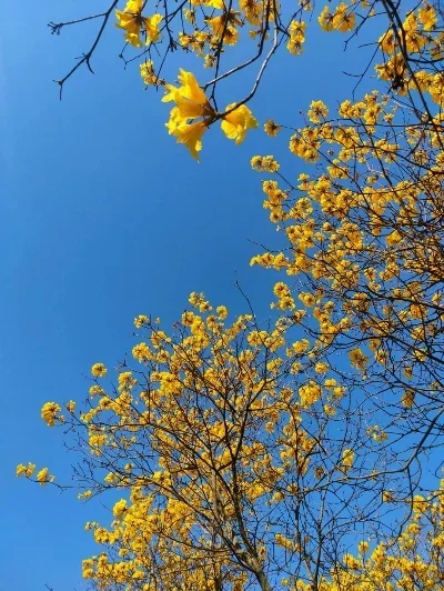 

RS Rubber Black Tire 102*42mm Tyre 17mm Wheel Hex For Arrma 1/7 Infraction Felony Limitless RC Car Upgrade Parts