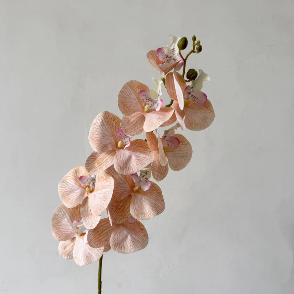9-Köpfiger Künstlicher Phalaenopsis-Blumenzweig Realistische Seidenblume Künstliche Orchidee für Hochzeit, Party und Heimdekoration – Detail 20