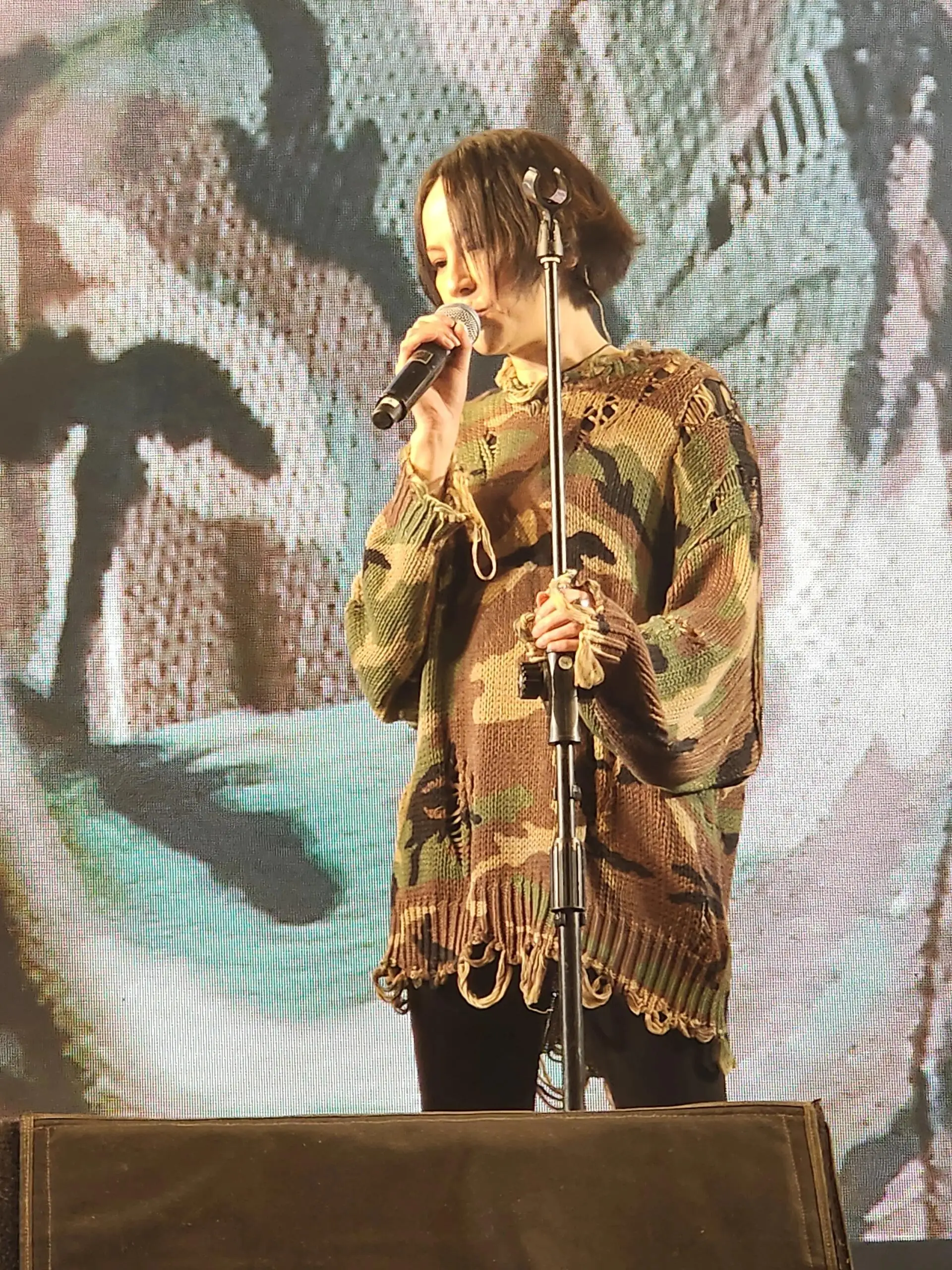 

Осень-зима 2022, новый повседневный свободный свитер с принтом, женский пуловер с круглым вырезом, вязаный низ, ажурный свитер C111