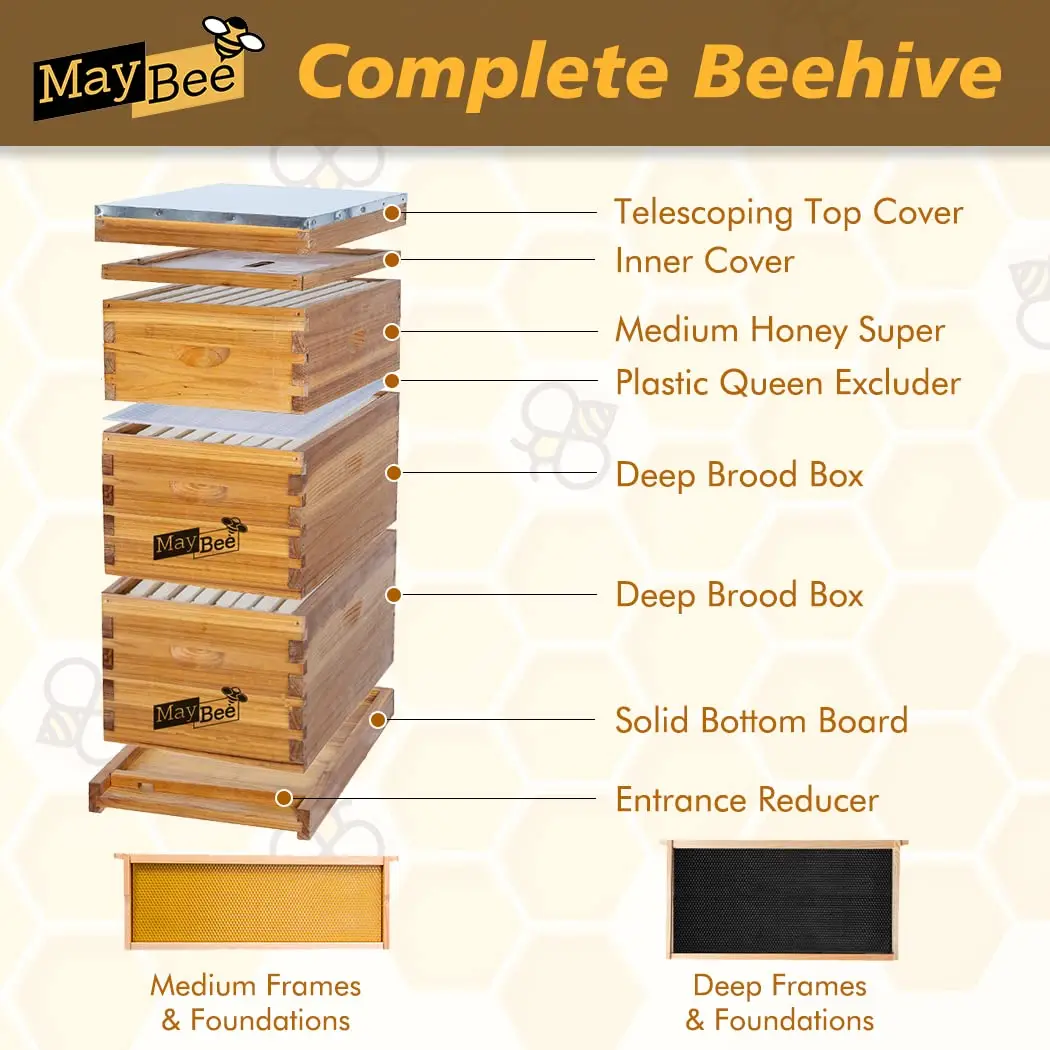 Free ShippingMay 8-Fe Stroth Hive Dipped In Swax, Hive For Beginner, Ey Hives Includes 2 Deep Boxes, 1 Hive Super With Hivs And