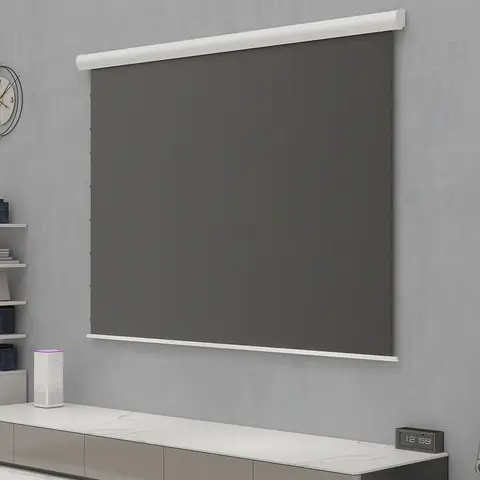 10 best sales motoriserad projektorduk - №10