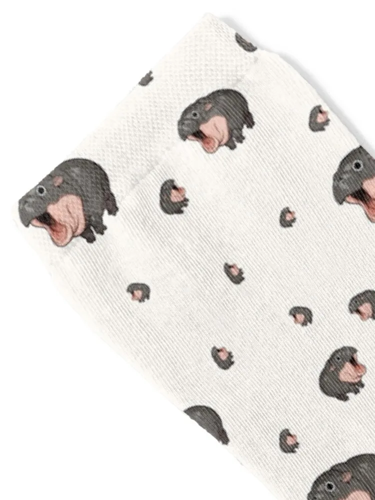 Baby moo deng Socks sheer kids cotton compression Socks Women Men's