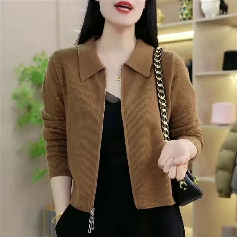 Spring Autumn Lady Knitting Cardigan Jacket Female Short Zipper Sweater Outerwear Women Solid Color Loose Fitting Knitwear Coat