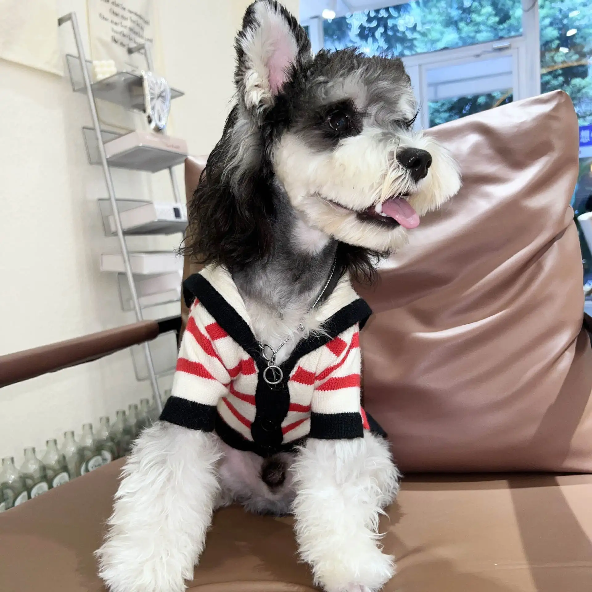

Warm Knitted Dog Sweater Teddy Schnauzer Corgi Bichon iba Inu Pet Clothing Autumn Winter New Arrival PU Leather Material