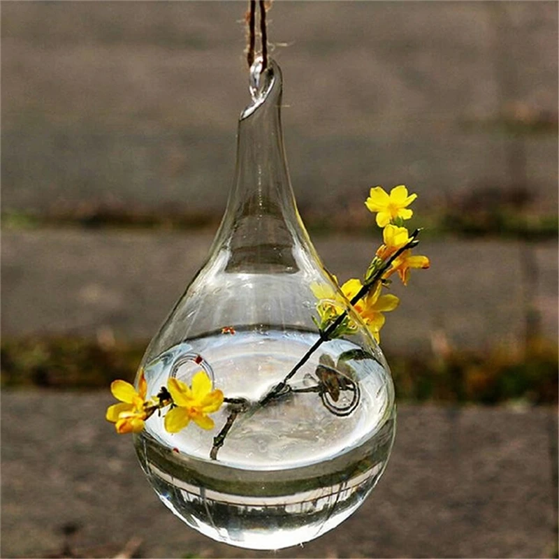 Vase en verre transparent en forme de boule, jardinière de fleurs, pot de terrarium pour plantes, bouteille hydroponique, décoration florale