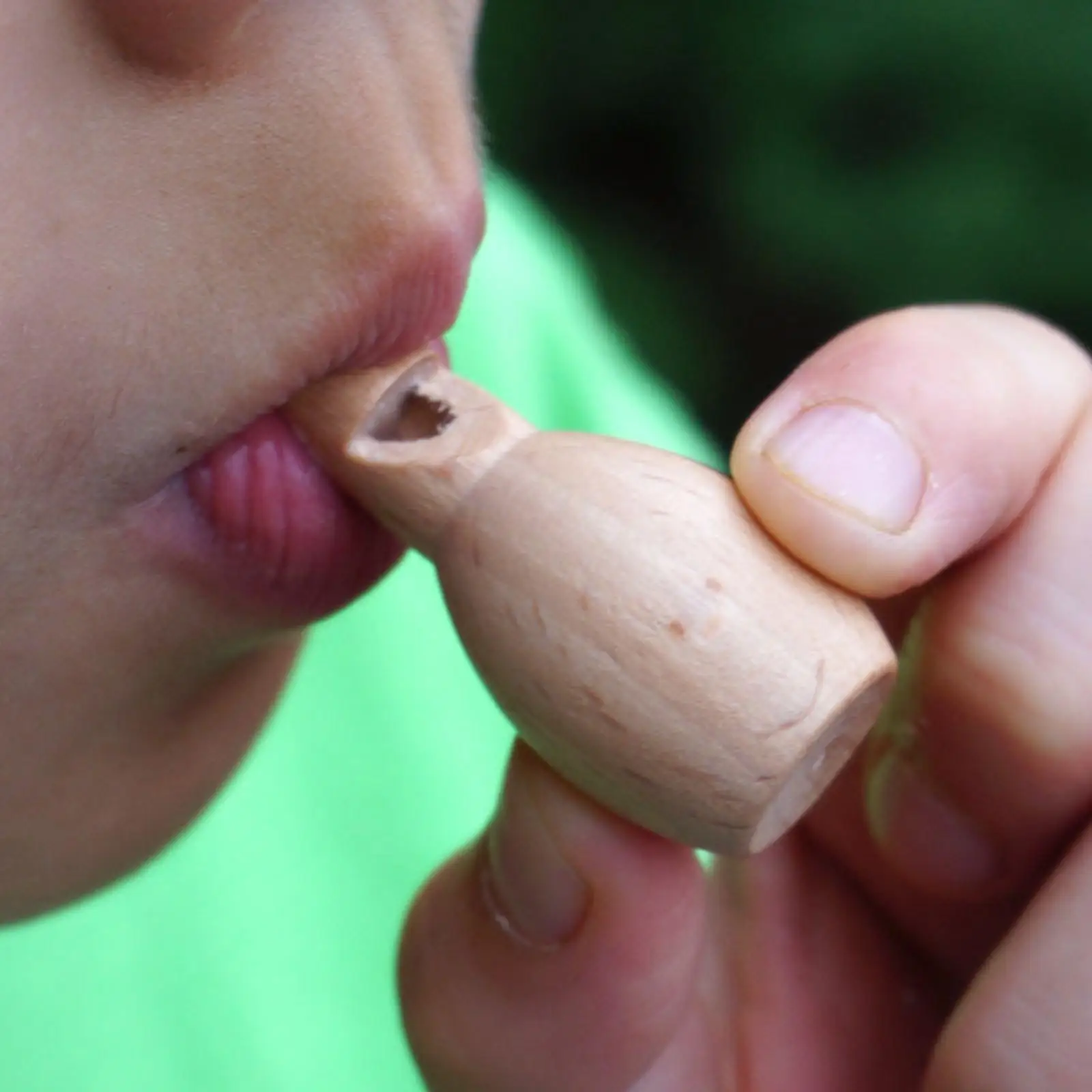 어린이용 목재 호루라기, 인지 학습 활동, 공예 소리 호루라기, 2-6 팩