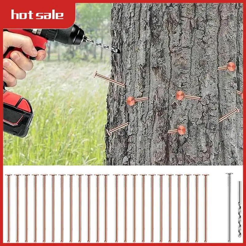 

A52I-25Pcs Coppers Nails Tree Stump Killersbulk Stump Removal Spikes Hardware Nails For Trees Removing Stumps