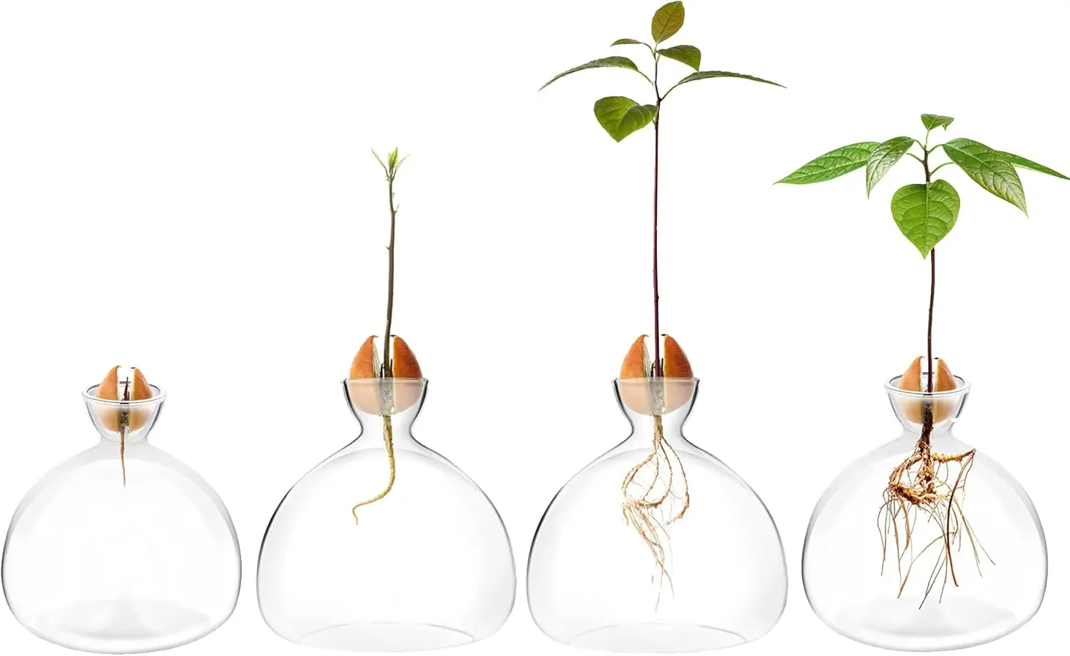 Thumbnail 4 - #63 Top Rated Vases to Buy in 2026