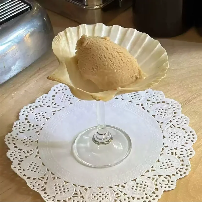 Handmade Natural Conch Shell Dessert Tray Creative Wedding Party Display Cocktail Cup Unique Wine Glass for Entertaining