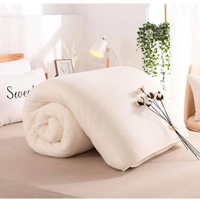 Xinjiang Cotton Single Double Quilt Home Textile Quilt Spring and Autumn Core Cotton Tire Cushion Quilt Blanket Edredones