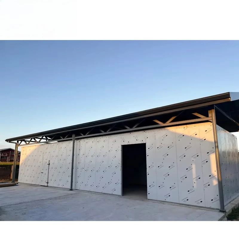 Customized Positive Negative Temperature Walk-in Cold Storage Freezer Room Refrigeration Equipment For Fruit Vegetable