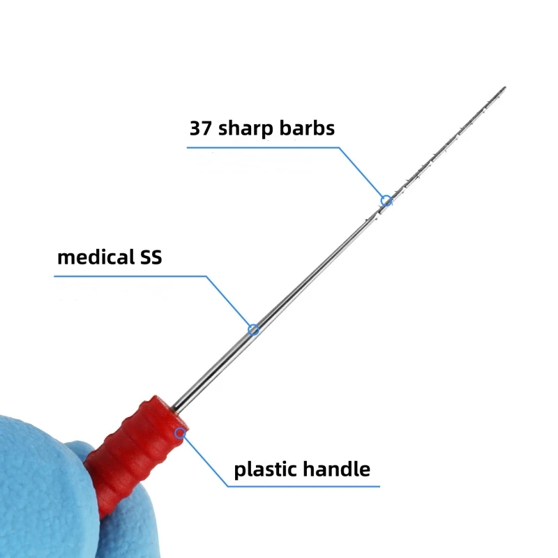 10 sztuk dentystycznych kolczastych przeciągaczy z uchwytem 21mm 25mm przeciągnięcia nerwowe pliki do użytku ręcznego stomatologia urządzenia do