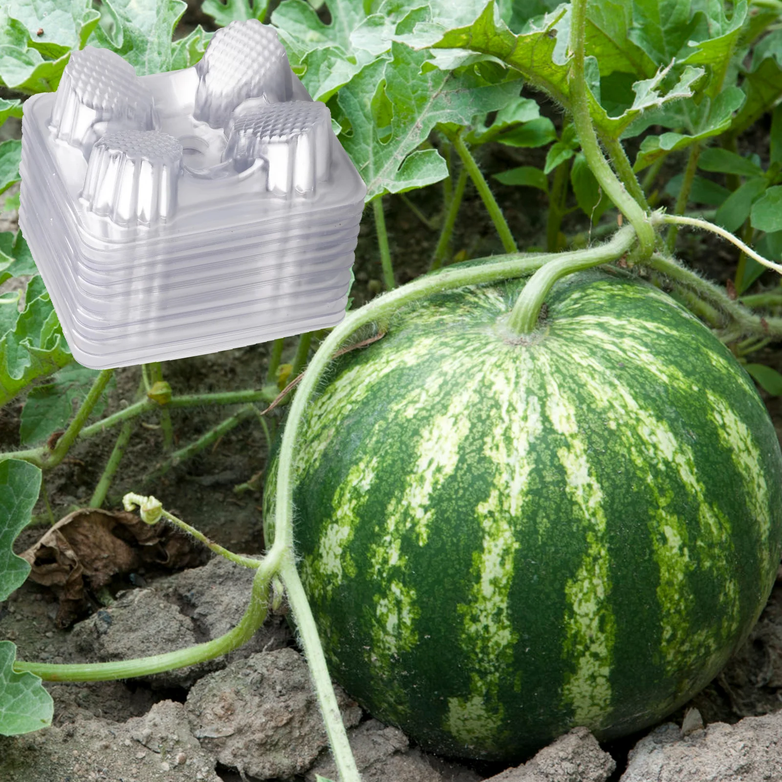 100pcs Plant Support Cradle Plastic Melon Watermelon Pumpkin Prevents Rotting Transparent Protector Cages Gardening Tools