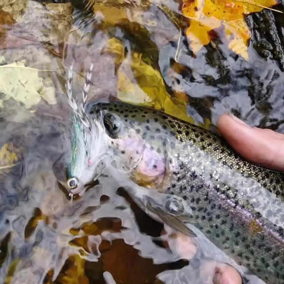30 Stück 3 Größen Fliegenbinde-Fischschädelmasken mit 3D-Augen für die Herstellung von Streamer-, Hecht-, Barsch-, Forellenködern, Salzwasser-Fliegenbindematerial – Detail 5