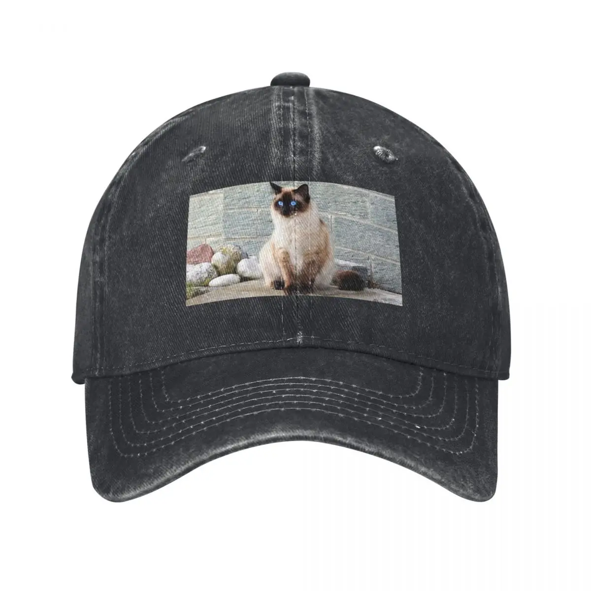 Ragdoll-gorras de béisbol con ojos azules llamativos, sombreros lavados de mezclilla Vintage, estilo Unisex, para correr al aire libre