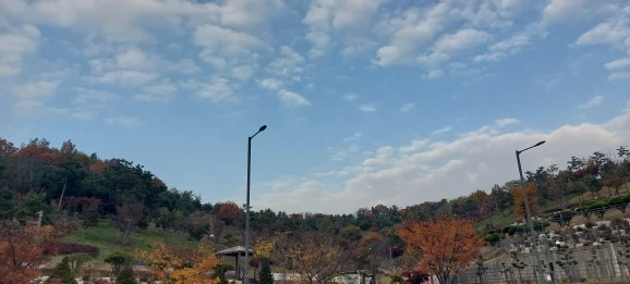 리뷰 사진