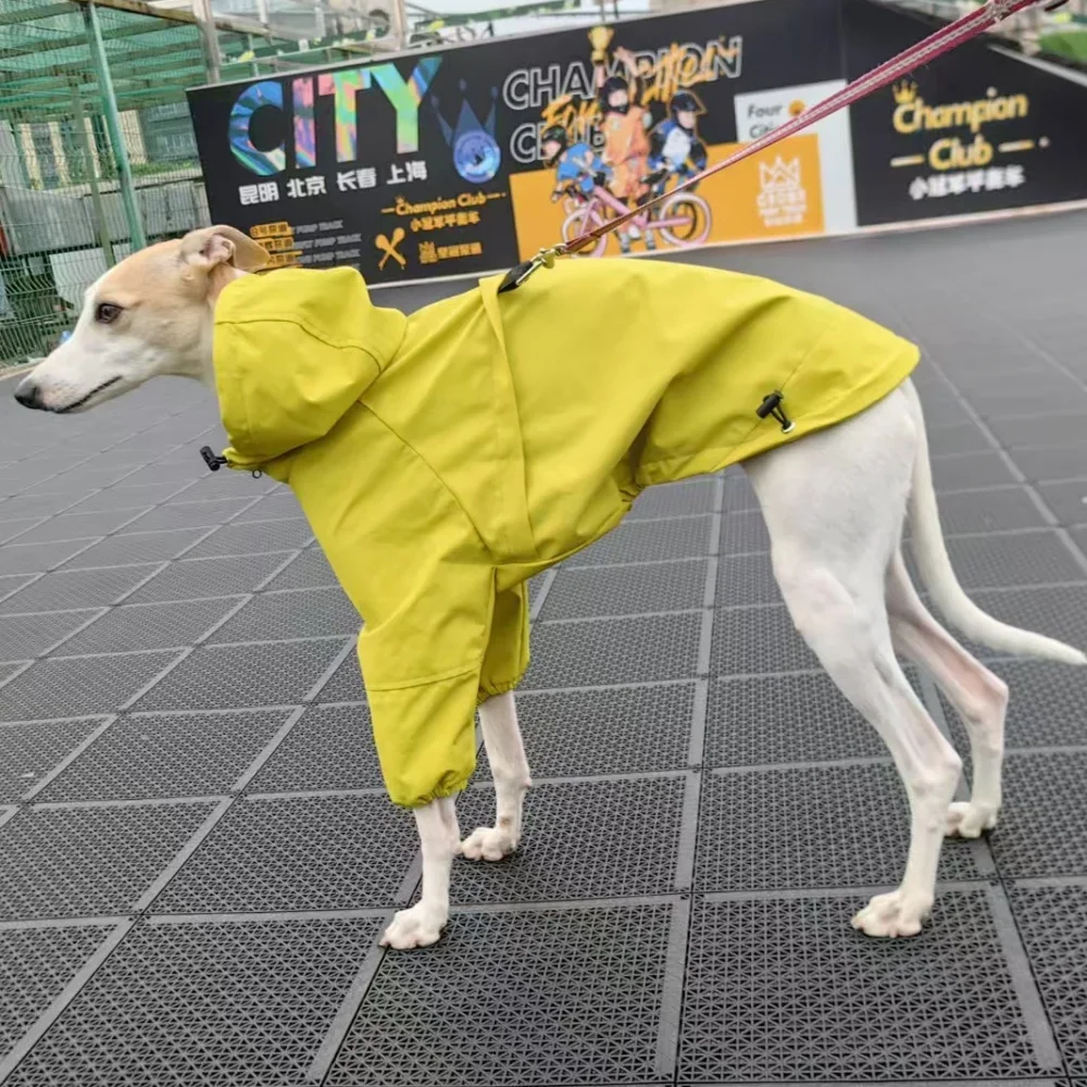Chaqueta cortavientos para perro Greyhound Italiano, impermeable de terciopelo para invierno, abrigo cálido verde de forro polar suave con cremallera para perro
