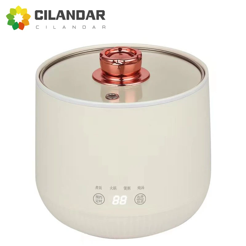 

110V 4-in-1 Small Rice Cooker 1.6L Electric Hot Pot 24-hour Appointment Porridge Soup Porridge Cooking 220V Multifuntion Cooker