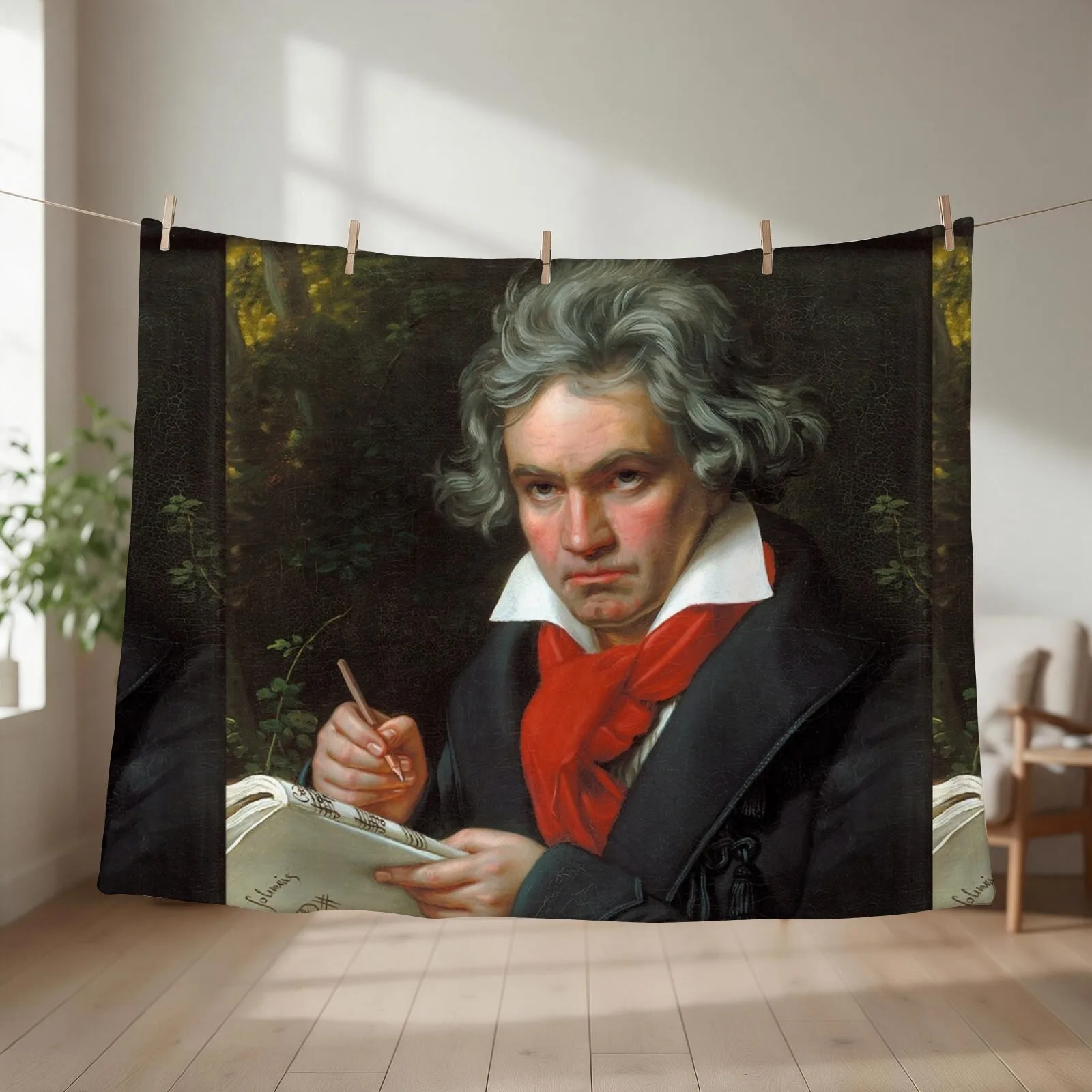 Ludwig van Beethoven Throw Blanket couch cozy soft plush fuzzy picnic outdoor blanket