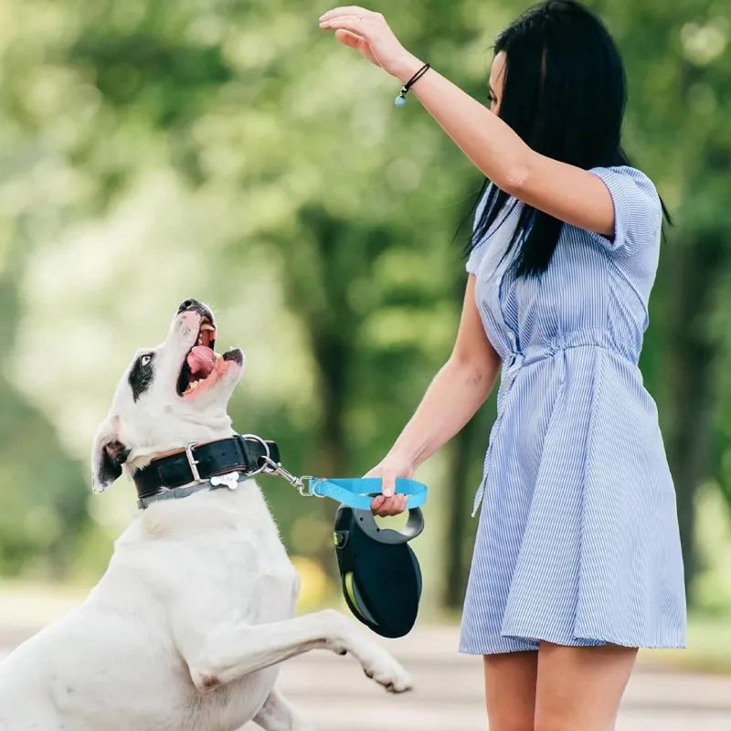 Dog Leash Short Dogs Leashes 25cm Extend Rope Leash for Dog Walking Nylon Extension Ropes Leashes Dogs Chain Pet Accessories