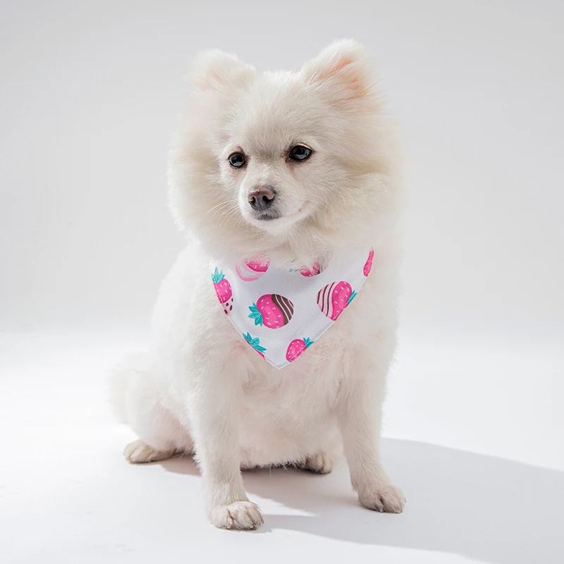 S/M/L Dog Bandanas Fruit Print Pet Triangle Scarf Saliva Towel Washable Bow Ties Collar Cat Dog Large Dog Accessories Kerchief