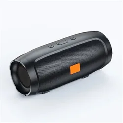 Outdoor Wireless Woofer Free Call /FM/TF Card/USB Flash Drive Connect Mobile Phone/Tablet 117 Portable Bluetooth Speaker