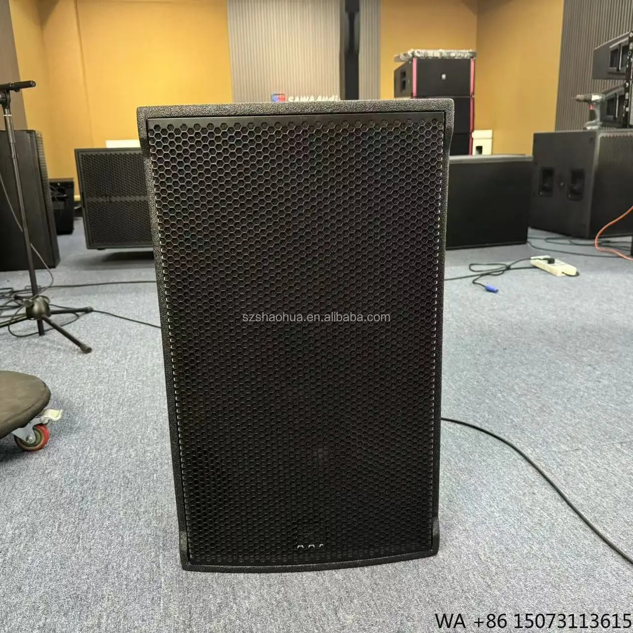 

Active Single 15 Inch Two Way Multipurpose Speaker Powered Speakers Stage Loudspeaker