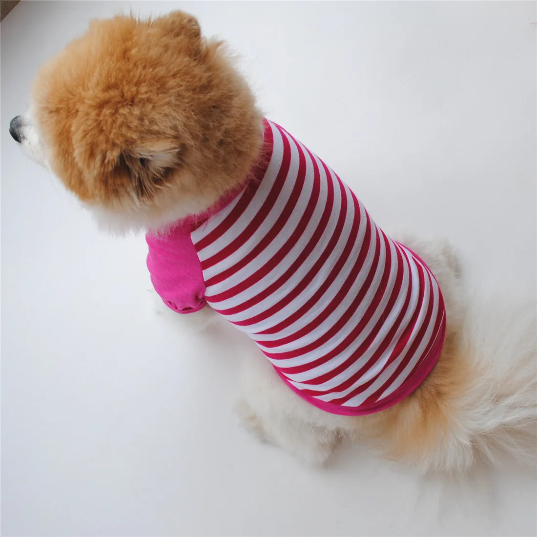 Spring  Summer Hot Sale Pet Clothes Korean Style Breathable Dog T-Shirt with Tie Cute Vest for Poodle Shiba Inu Cats view 3