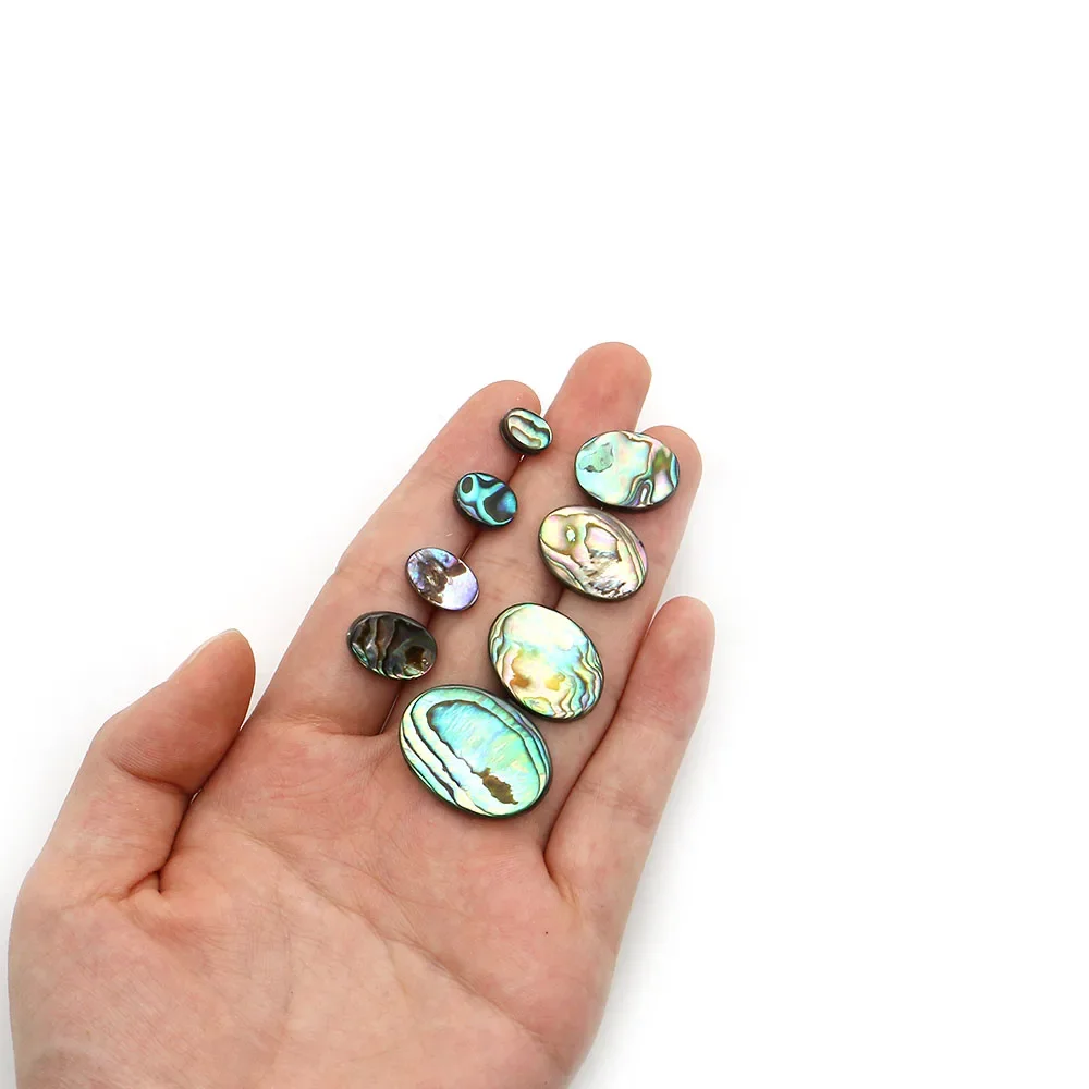 Natural Shell Bead Oval Horizontal Hole Abalone Shellfish Loose Bead Jewelry Accessories 9 Kind of Specifications Available 5pcs