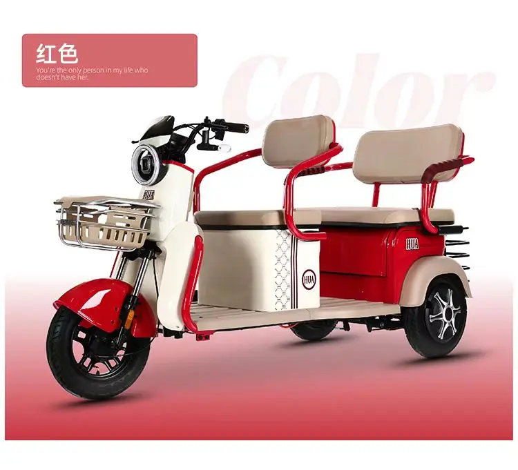 Wholesale 8 Inch Adult Electric Tricycle 500/650/800W Speed 30km/h Best Price with Closed Body