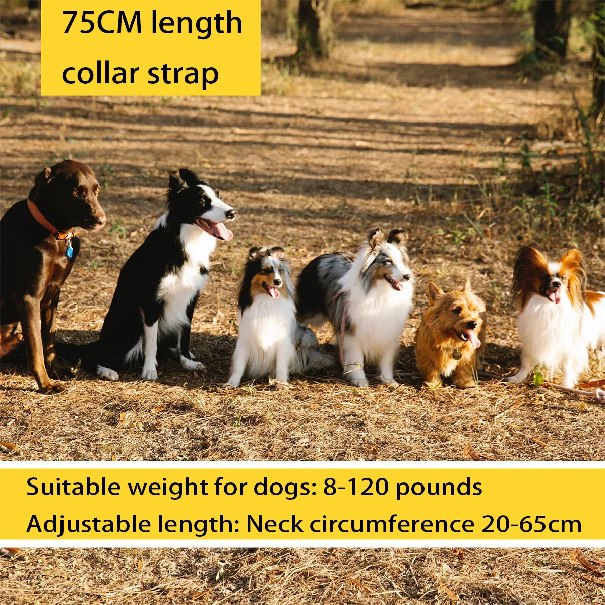 

Dog Training Collar for Dogs, IPX7 Waterproof Dog Collar with 3 Training Modes Beep, Vibration and Electric-Shock,1300ft Range