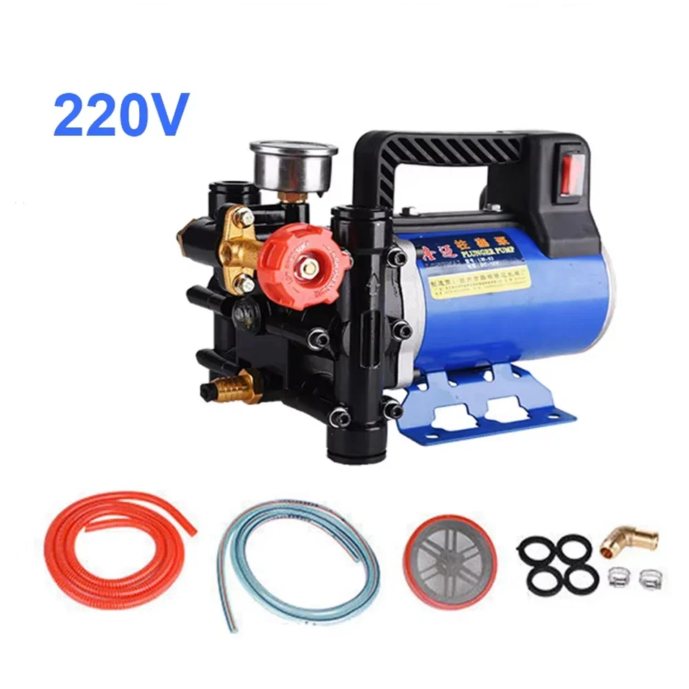 

12 В/24 В/48 В/60 В/220 В сельскохозяйственный плунжерный насос ирригационный химический инъекционный двухцилиндровый поршневой насос высокого давления