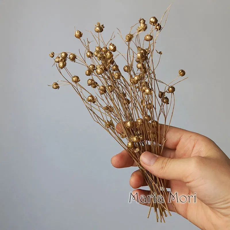 5 جرام/ملون محفوظ الكتان الفول الطبيعي الزهور الحقيقية المجففة الشموع المعطرة الايبوكسي اليدوية DIY بها بنفسك المواد ديكور المنزل