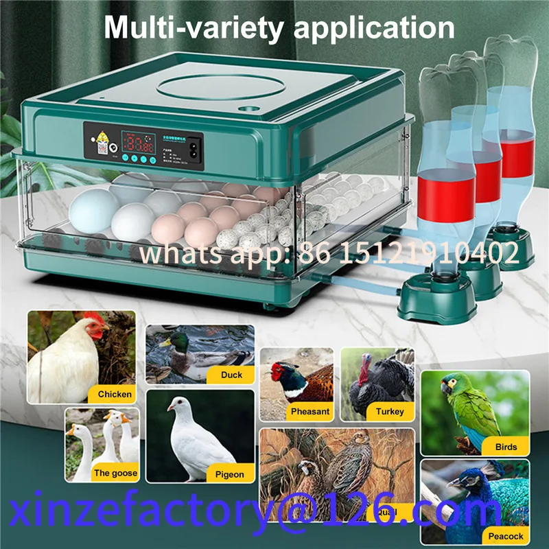 Incubadora personalizável com giro automático de ovos e monitoramento de umidade Mini pato