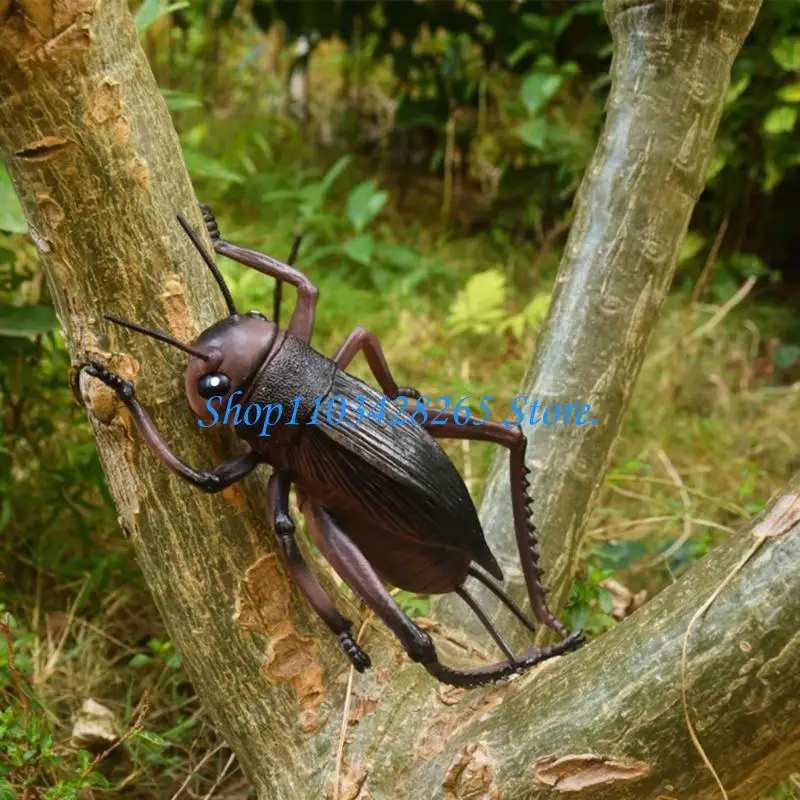 Coleção interativa brinquedos insetos, 3 peças para crianças, exploração da e biologia, desenvolvimento estatueta
