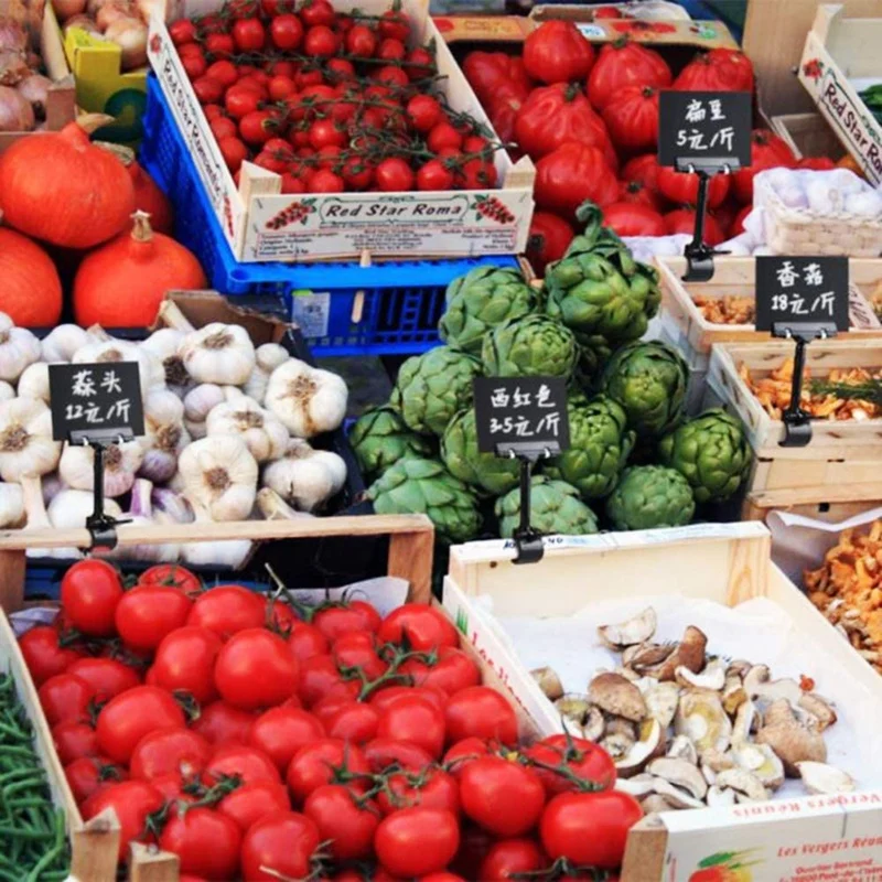 10PCS Adjustable Plastic Sign Holder,Clip-On Style Double Head Display Clips Rotating Reuse Sign Price Tag For Store