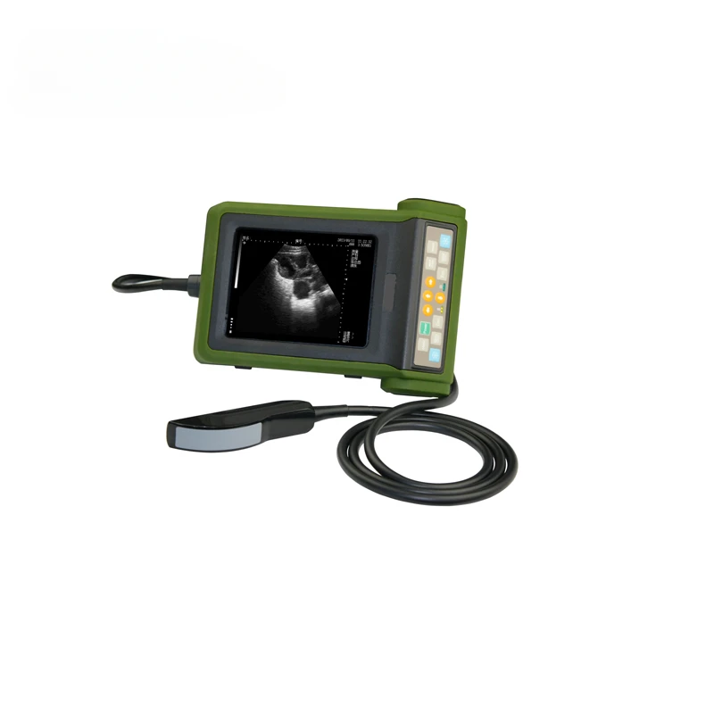 Medical Portable Handheld Cow Ultrasound Machine ZT-BW-V2