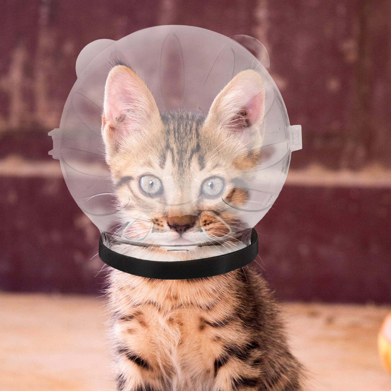 

Cat Hood Clear Mask Stop Biting Protective Soft Large Size ABS Material Safe Odorless Wear Resistance Unique Wide View