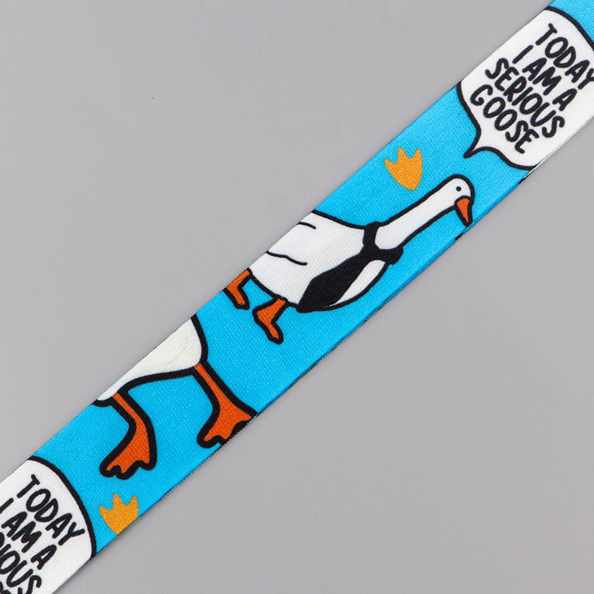 Today I Am A Serious Goose Quotes Lanyard Neck Strap Keychain Card Cover Badge Holder Mobile Phone Hang Rope Keyring Accessories