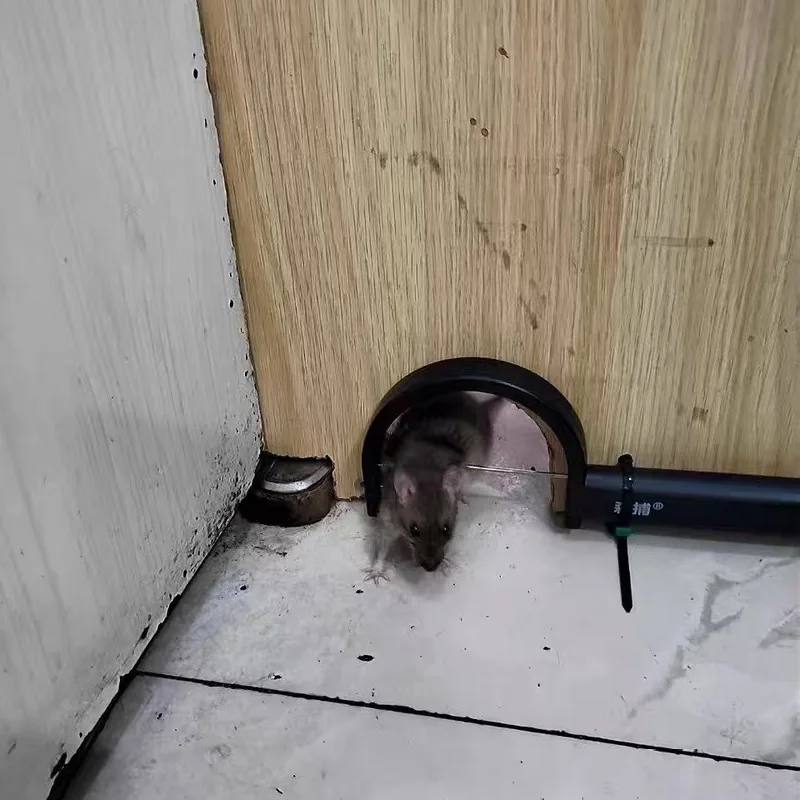 Infrared Automatic Rat Killing and Mouse Catching Artifact Household Rat Killing Ground Clip Catching Mice and Repelling Mice