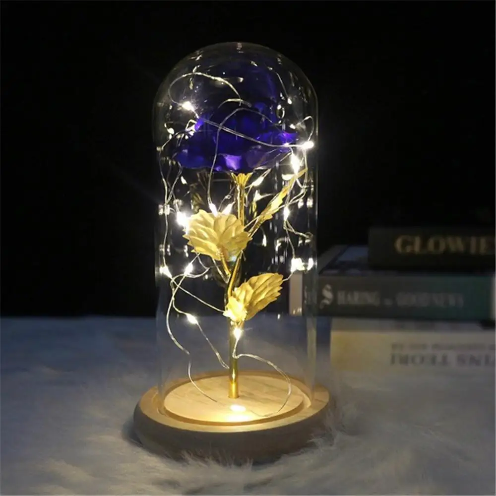 Glass Cloche Jar Display Stand Cover Terrarium Bottle with Wooden Base Acrylic Dust Cover Display Box Immortal Flower Box